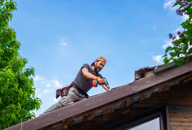 Best Hot Roofs  in Rockford, MI