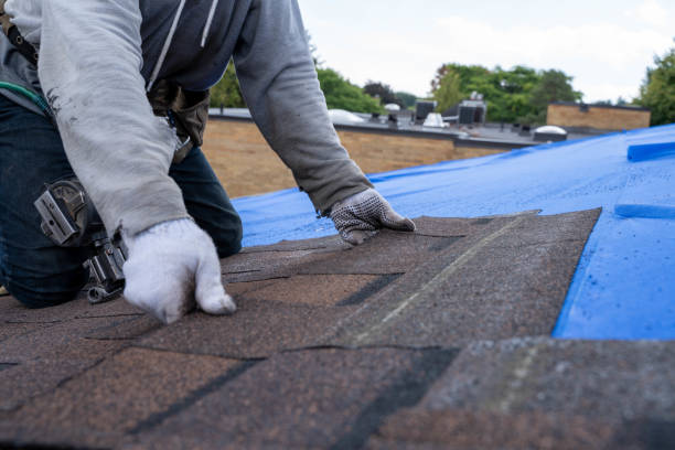 Best Green or Eco-Friendly Roofing Solutions  in Rockford, MI