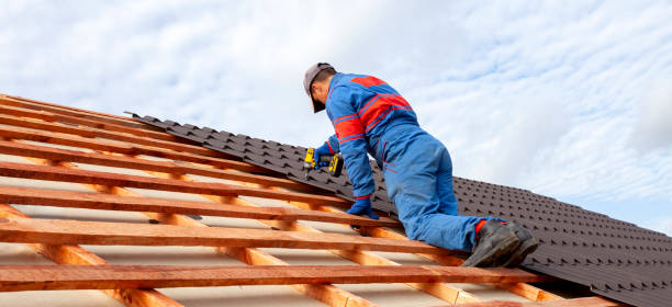 Best Metal Roofing Installation  in Rockford, MI