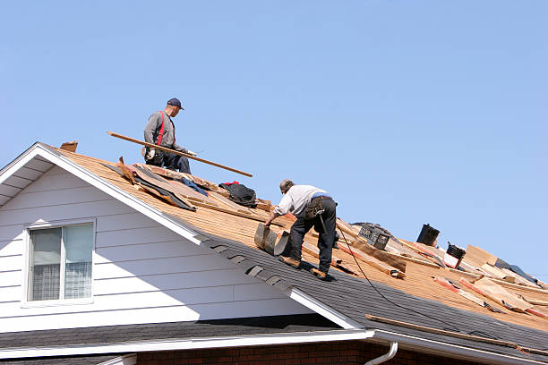 Best Gutter Replacement  in Rockford, MI